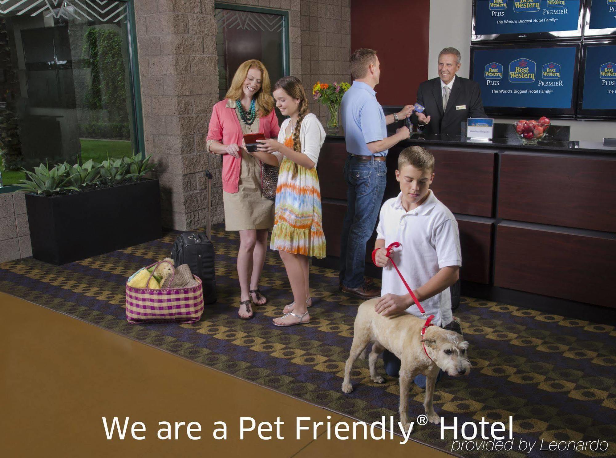 Surestay Plus Hotel By Best Western Маунтин-Вью Экстерьер фото